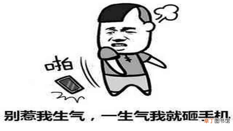 属狗与什么属相不合