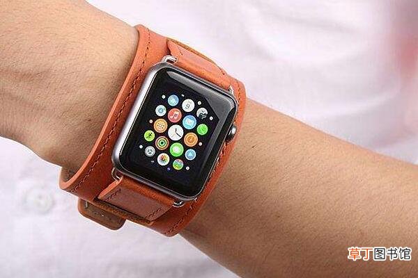 iwatch静息能量准吗