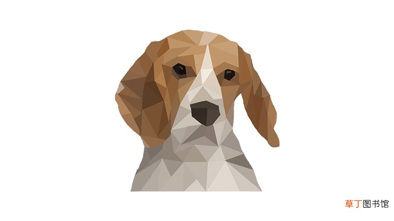 女狗男狗婚姻相配吗