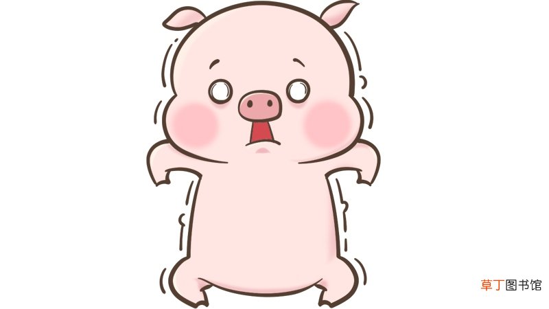 男龙女猪婚姻是否相配