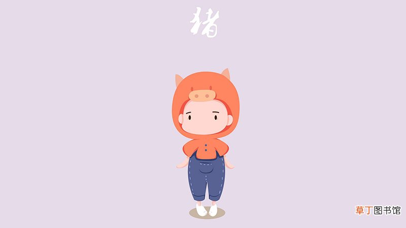 47岁属猪又有什么灾