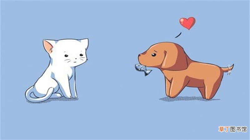 狗和猴的属相合不合