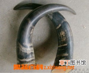 吃水牛角有什么好处