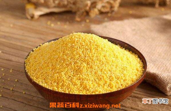 小黄米的功效与作用 小黄米的禁忌
