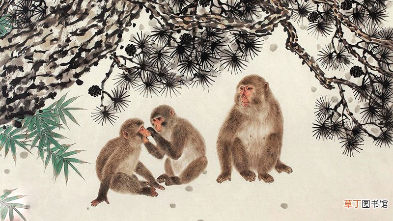 2021年属猴人的全年运势