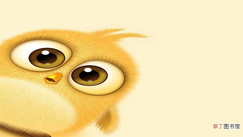2017年属鸡火命缺什么