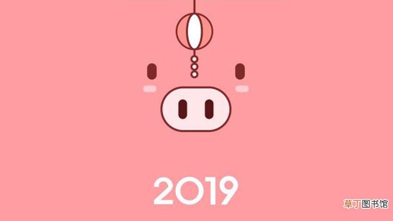 猪年属羊人的运势如何