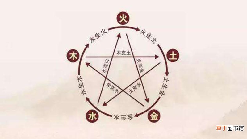 土生肖是什么生肖