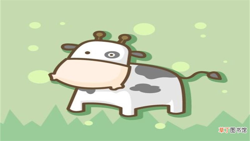 1997年属牛是什么命