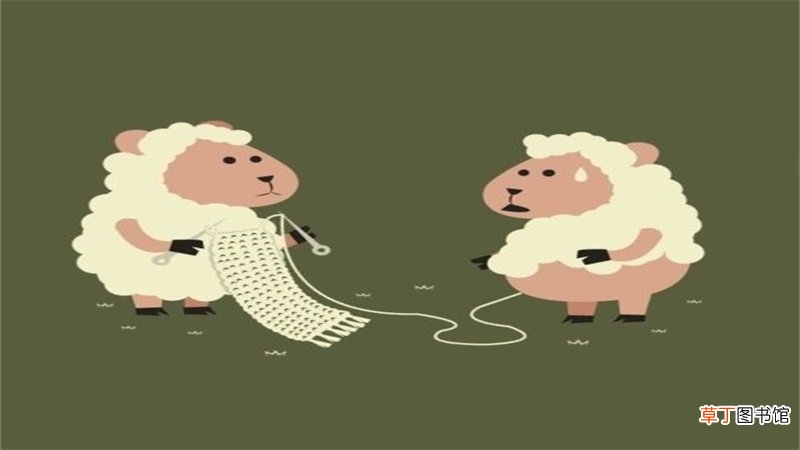 属羊的婚姻和命运如何