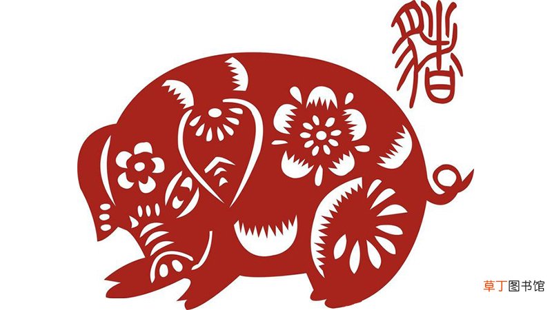 属马在猪年的运气如何