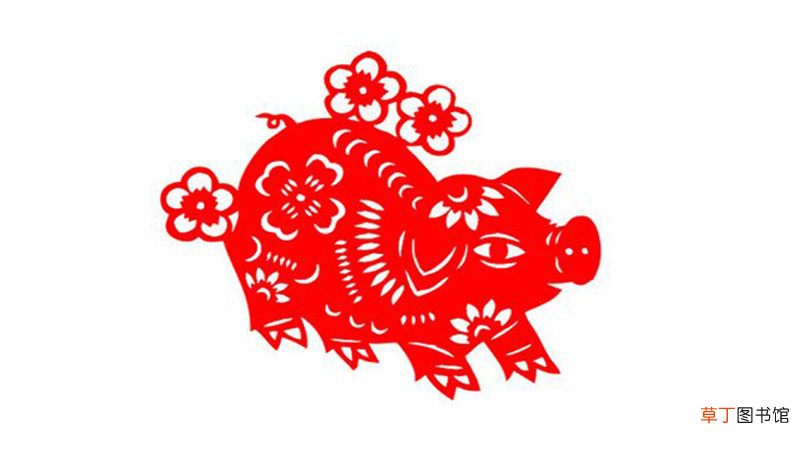 属马在猪年的运气如何