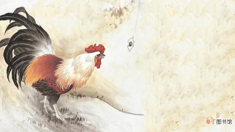 属鸡的男人性格