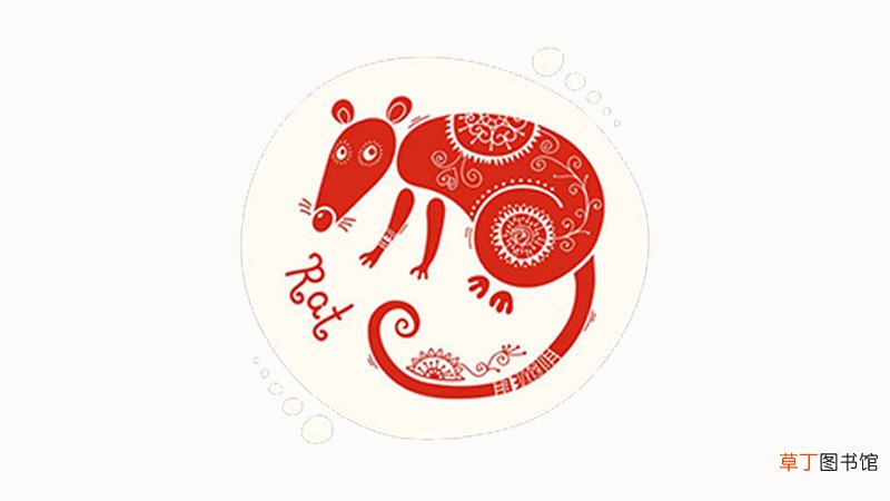 属马能不能生鼠宝宝