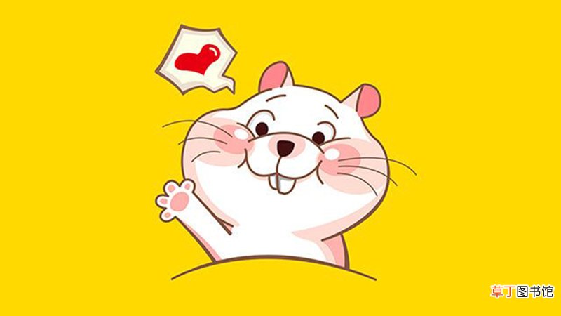 生肖鼠的性格