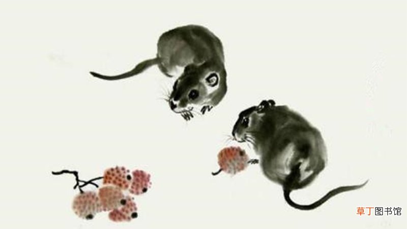 十二生肖地主是什么生肖