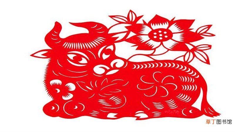 狗与牛属相婚配怎样