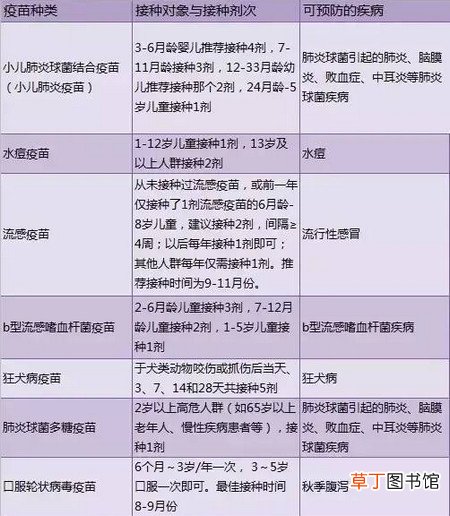 儿童自费疫苗接种时间表