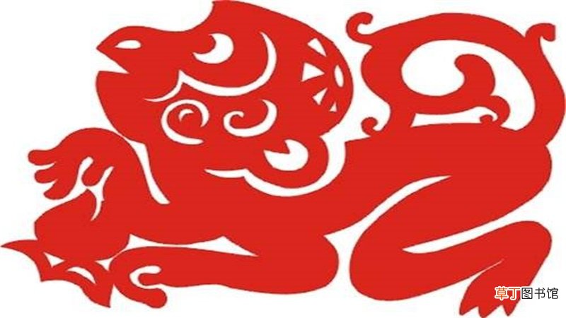 猴跟猪合不合