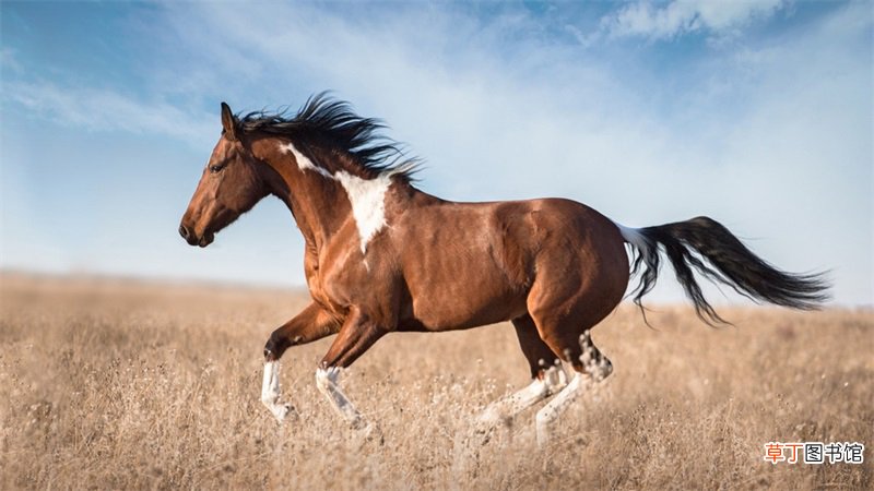 马年几点出生好