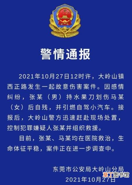 警方通报东莞一男子放火烧车 案件正在进一步调查中