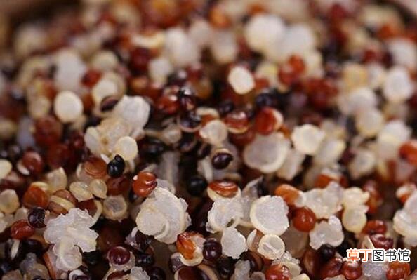 三色藜麦的功效与作用及营养价值