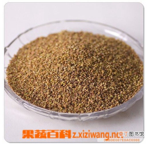 荞麦茶