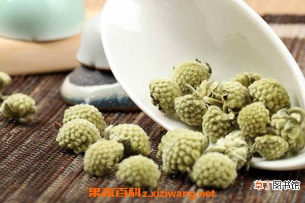 绿萝花的功效与作用 绿萝花的药用价值有哪些