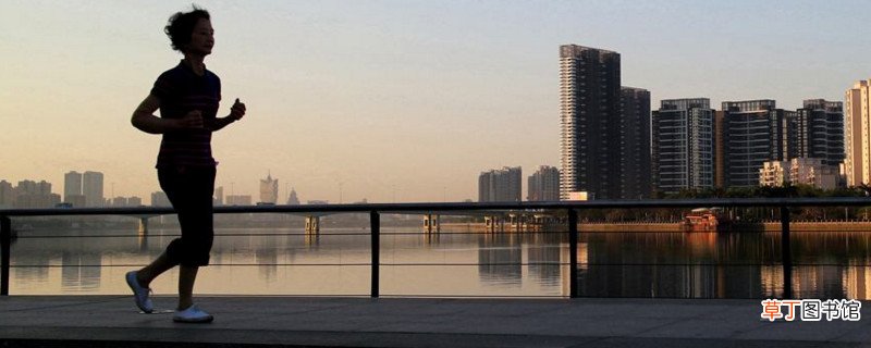 晨跑和夜跑哪个更减肥