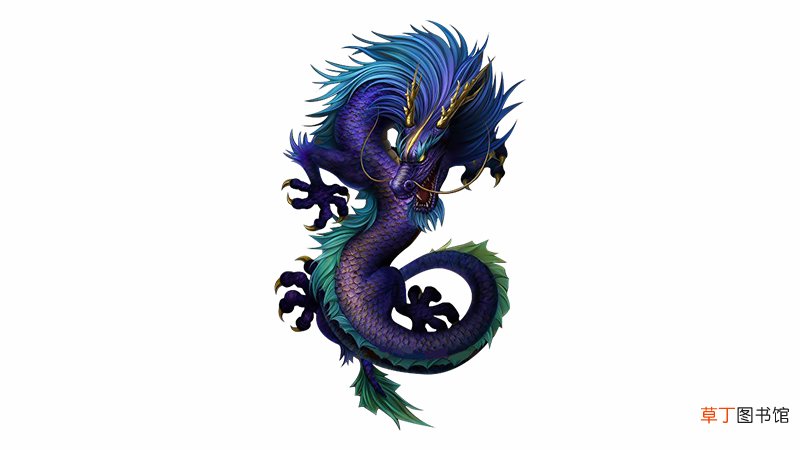 龙与狗相冲吗