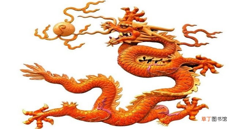 2019猪年龙的运势