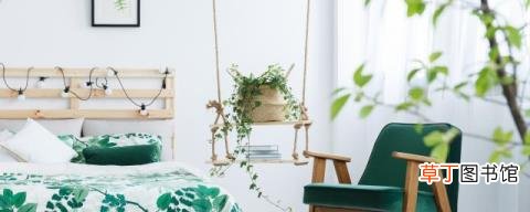 白掌可以放卧室吗 白掌其实是能放卧室对吗