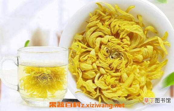 金丝皇菊的功效与作用 金丝皇菊的食用方法