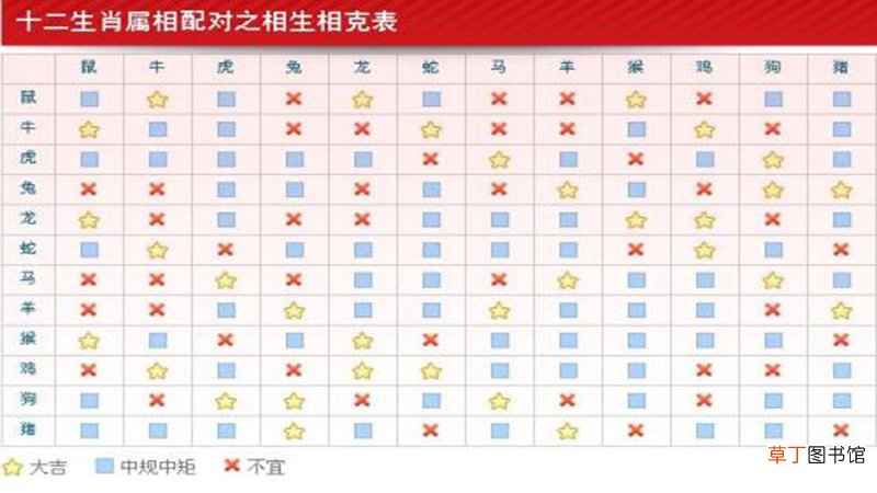 属猪跟属马的合不合