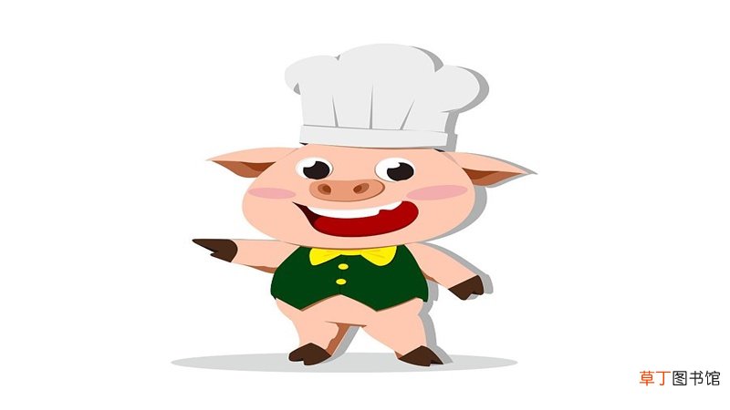 属猪人取名字配什么字