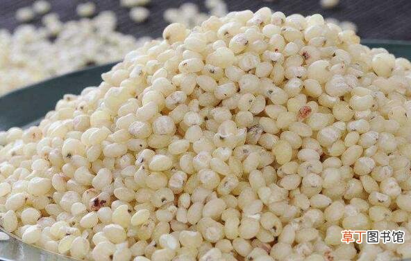 高粱米的功效与作用及禁忌