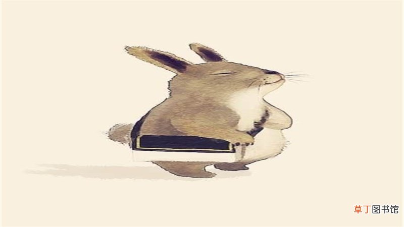 属兔的劫难在那些年