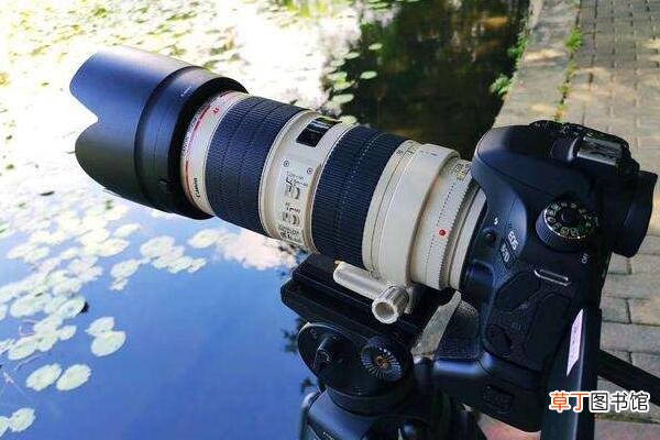 二三代小白兔区别是什么