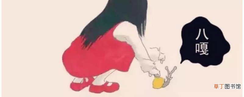 八嘎呀路是什么意思-生活百科知识