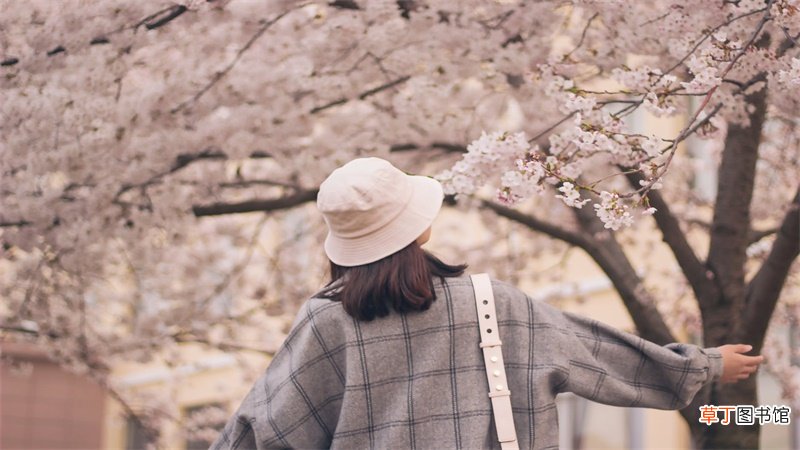 梦见自己来例假血很多寓意