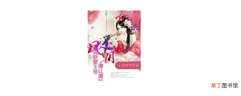 宁王叶宋是什么小说-生活百科知识