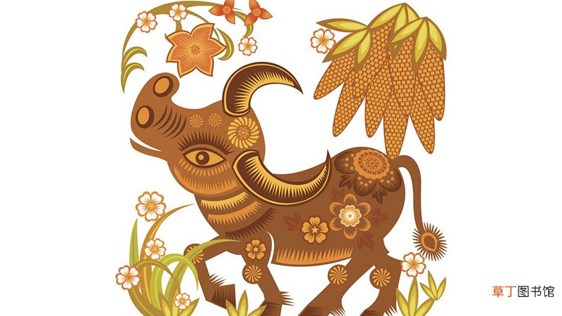 牛和兔生肖配吗