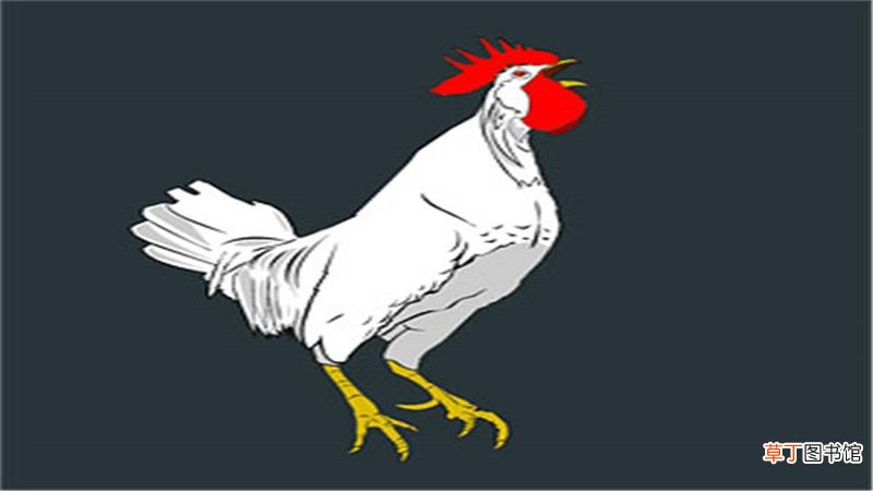 属猴男属鸡女婚姻状况