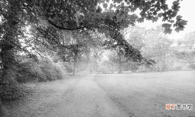 已婚女人梦见下雪是什么意思