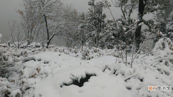 已婚女人梦见下雪是什么意思