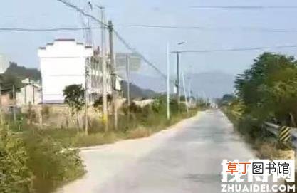 男子行凶未被羁押后驾车撞死母子 悲剧真相简直太惨了