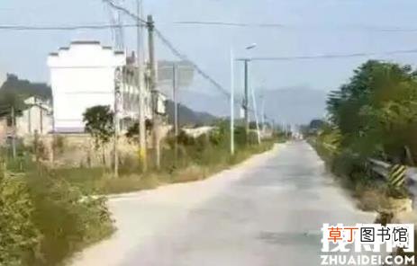 男子行凶未被羁押后驾车撞死母子 悲剧真相简直太惨了