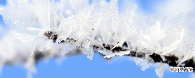 冻得什么填词语-生活百科知识
