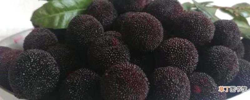 杨梅怎么煮酸梅汤