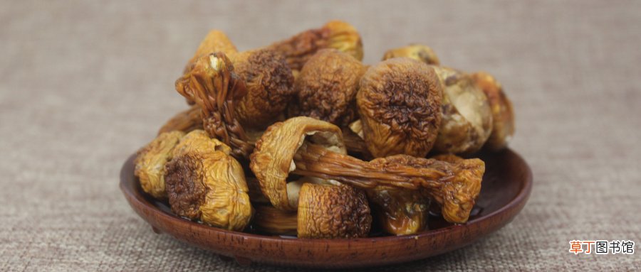 干姬松茸怎么泡发